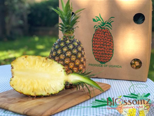 Ugandan Pineapples from Uganda supplied by Zahra Food Industries Ltd - Conventional Fresh Pineapple
