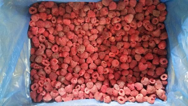 Raspberry from 우크라이나 supplied by Yak Trading LLC - Polana 신선 라즈베리
