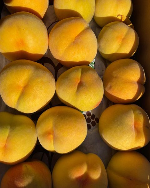 Fresh Peach from 미국 supplied by THISTLEDOWN FARMS - Yellow Flesh 신선 복숭아