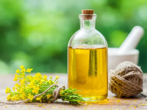 Rapeseed oil from 독일 supplied by Bressmer & Francke (GmbH & Co.) KG - Rapeseed Oil 비정제 카놀라유 및 유채씨유
