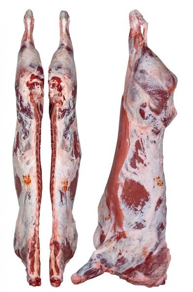 Fresh Beef from 스페인 supplied by Roca Group - 껍질 없음 신선 미절단 소고기