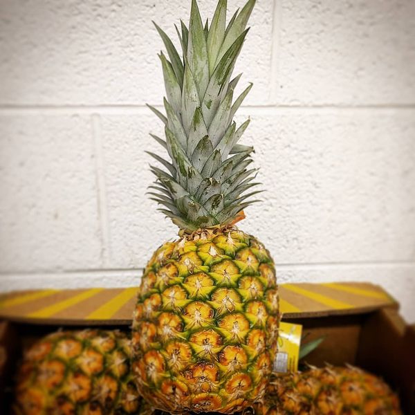 Pineapple from United States supplied by Combs Wholesale Produce Company - Golden Yellow Fresh Pineapple