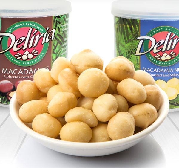 Macadamia from 브라질 supplied by Tribeca - In-shell 마카다미아 알맹이