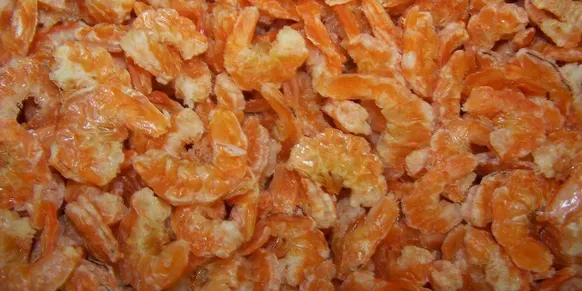 Dried Shrimp from 미국 supplied by Blum & Bergeron Inc - Dried 건조 새우