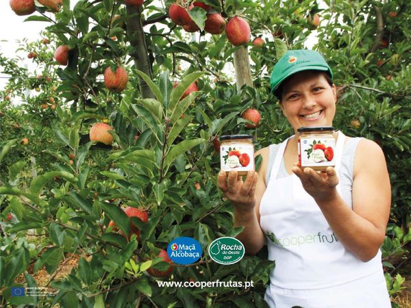 Apple Puree from 포르투갈 supplied by Cooperfrutas, CRL - Puree 사과 가공품
