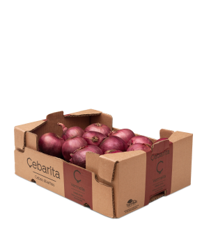 Fresh Red Onion from Spain supplied by TORRIBAS - Whole Fresh Onion