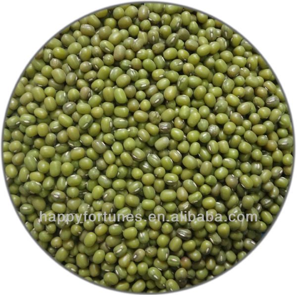 Green Mung Beans from 중국 supplied by Dalian Happy Fortunes Trading Co., Ltd. - Conventional 말린 녹두