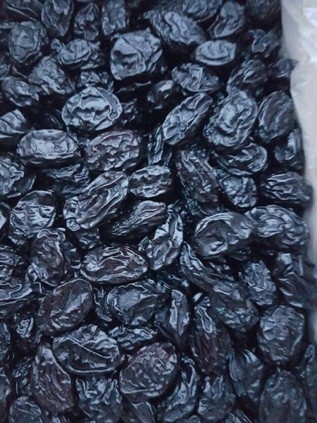 Prune from Uzbekistan supplied by Garden House LLC - Unpitted Prune