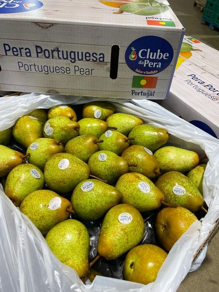 Rocha Pear from Portugal supplied by Lusopera - Carton Box (=Cardboard Box) Fresh Pear
