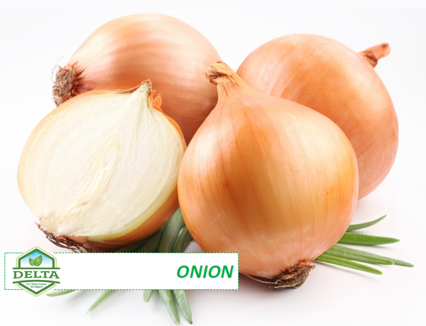 Onion from 이집트 supplied by International Delta Center for Export - 슬라이스 냉동 양파