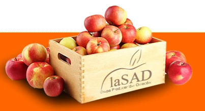 Apple Juice from 폴란드 supplied by La-sad sp. z o.o. - Pasteurized 사과주스