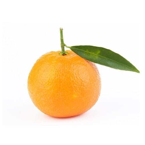 Clementine Fina from 포르투갈 supplied by Frutas Tereso - Comércio de Frutos & Hortícolas Lda. - Fina (=Algerian) 신선 클레멘타인