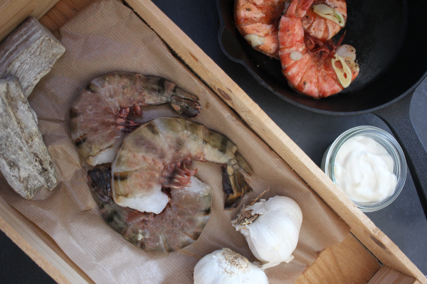 Shrimp & Prawn from Germany supplied by Wolfgang Kalter GmbH - Cooked (Not Frozen) Frozen Common Shrimp & Prawn