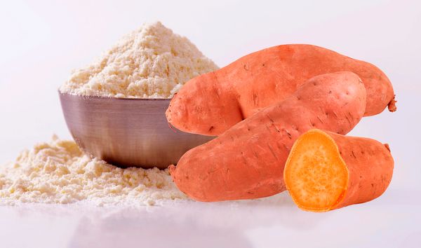 Sweet potato flour Ref-3245 from 콜롬비아 supplied by FEDEAGROBATATAS (Federación Colombiana de Productores Agropecuarios y de Batatas) - 고구마 가공품