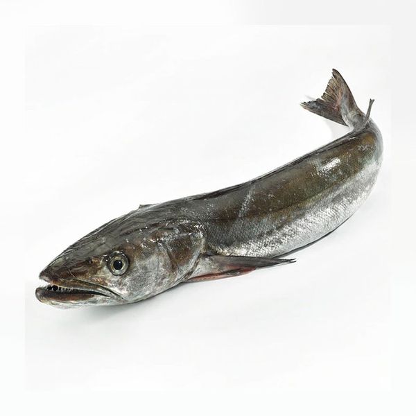 Hake from South Africa supplied by B&B Wholesalers - Frozen Hake