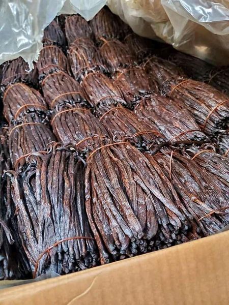 Vanilla from 우간다 supplied by Damex Uganda Ltd Exporter - As per customer's request 바닐라