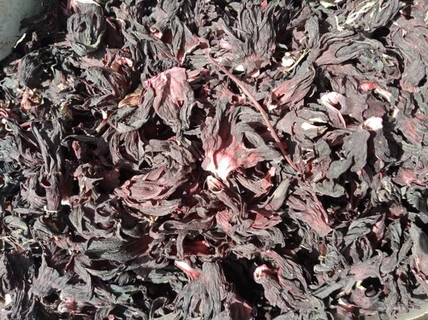 Hibiscus flower from 나이지리아 supplied by ALFIKRA GLOBAL RESOURCES - 로젤(=Gongura=Hibiscus Sabdariffa) 히비스커스