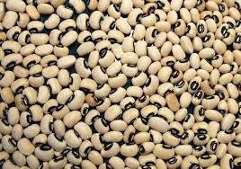 Black Eyed Peas from 남아프리카공화국 supplied by Promiseland Import and Export Group - Black 말린 동부