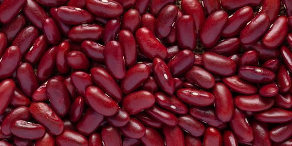 Red Bean from Argentina supplied by Trading Sur S.A. - Raw Sweet Red Beans