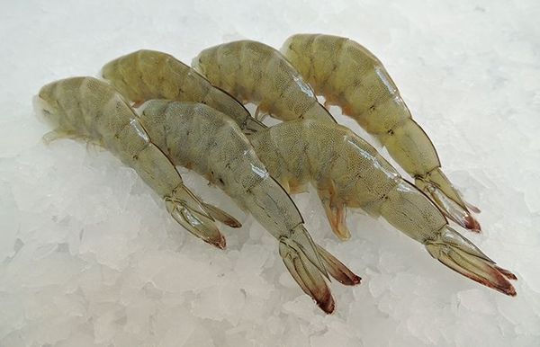 Pacific White Shrimp from Honduras supplied by Seajoy - Grupo Deli de Honduras, S.A. de C.V - Raw Peeled & Deveined (=RPD) Frozen Common Shrimp & Prawn