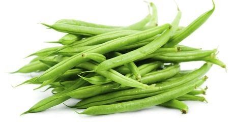 Fresh Green Beans from 이집트 supplied by Alpha Export - 그린빈 신선 콩