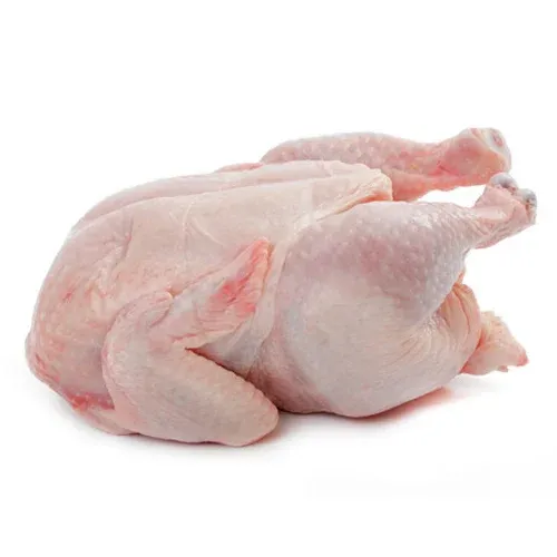 Chicken from 벨기에 supplied by Pludis - Slaughtered 냉동 미절단 닭고기