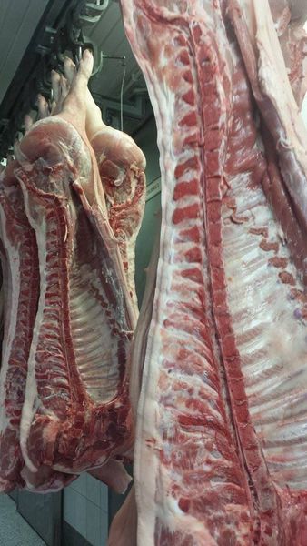 raw pork from 폴란드 supplied by P.P.H.U. BIELA - Stanisław Biela - 뼈 있음 신선 돼지고기 햄 및 목살