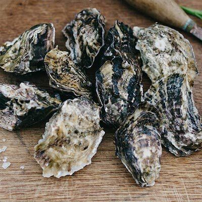 4 Dozen-Fresh Mahurangi Oysters from New Zealand supplied by Mahurangi Oysters Limited - Mahurangi Fresh Oyster