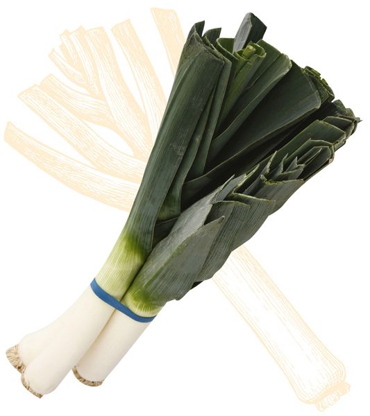 Leeks from 미국 supplied by Ocean Mist Farms - Conventional 리크