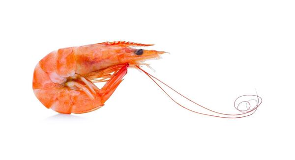 Prawn from 영국 supplied by Easdale Seafoods Limited - Live 냉동 새우