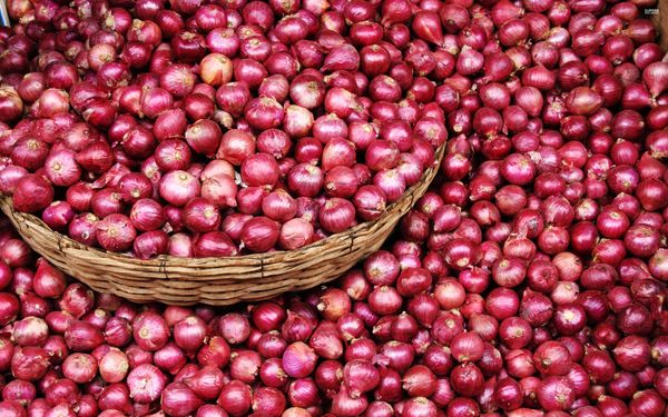 Fresh Onion from India supplied by Ashray Globe Trade - Whole Fresh Onion
