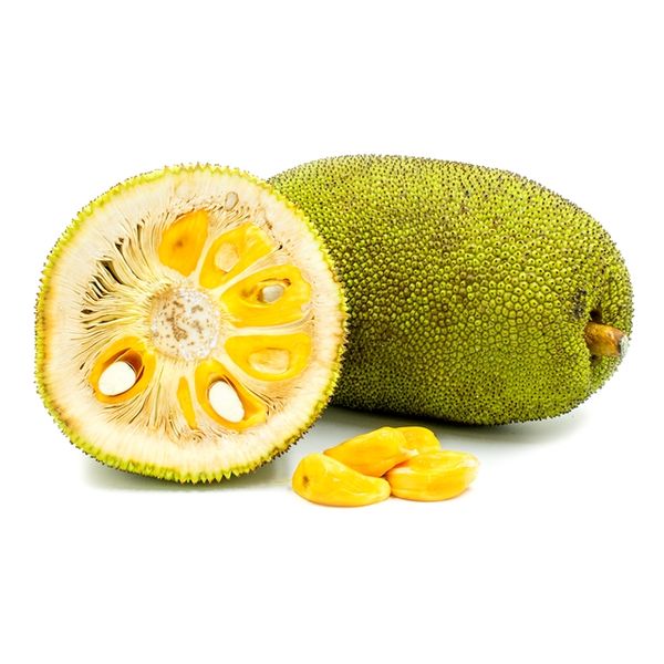 Jackfruit from 태국 supplied by KASET HUB - Grade A 잭프루트