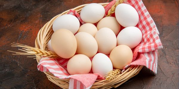 EGGS from 인도 supplied by Aurobindo enterprises - 크기: 58-62g 달걀