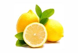 Lemon from 이집트 supplied by Magrabi Agriculture - Yellow 신선 레몬