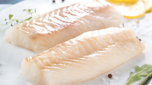 Cod from United States supplied by Oceanic Seafoods Limited - Pacific Cod (=Gadus macrocephalus =Alaska cod =Gray cod =True cod) Fresh Cod