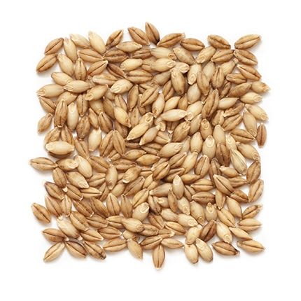 Barley from 미국 supplied by Grain Millers, Inc - Hulled 보리