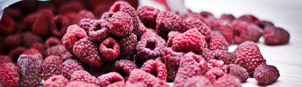 IQF Raspberries from 보스니아-헤르체고비나 supplied by Herbos Nature Ltd. - Conventional 신선 라즈베리
