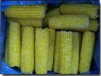 IQF Whole Corn from 태국 supplied by Vanda Preserved Food Co., Ltd. - Whole Corn 옥수수