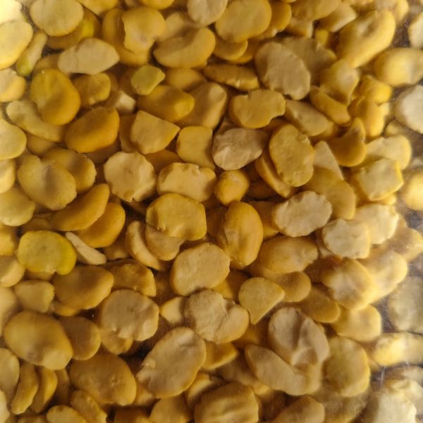 Broad Bean from 호주 supplied by Exports of Australia Pty Ltd - 25kg bag 말린 브로드빈