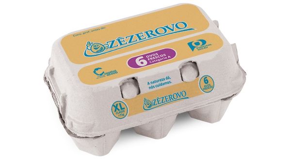 Fresh Chicken Egg from Portugal supplied by Zezerovo - In Shell Chicken Egg