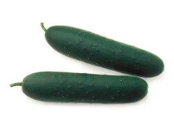 Cucumber from 독일 supplied by Rijk Zwaan Welver GmbH - Slicing Cucumber (=Slicer=Field Cucumber) 신선 오이