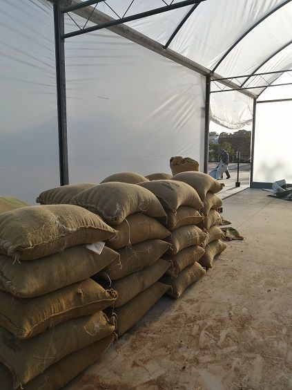 Premium & Super Premium Coffee from 브라질 supplied by Green Gold Alimentos Ltda - 갈색 볶은 원두