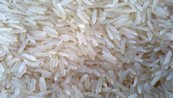Rice from United Arab Emirates supplied by Harvest House General Trading - Broken Rice