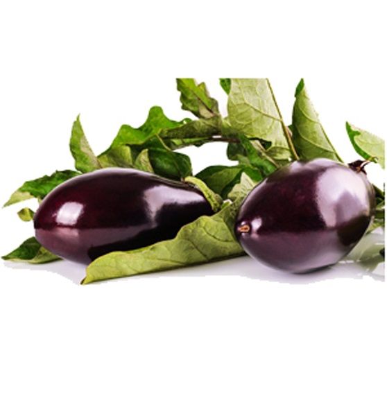 Eggplant from 이란 supplied by Vitarad Group Co. - Purple (=Violet) 가지