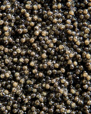 Caviar from 미국 supplied by Chortle and Purr, LLC - Individually Wrapped (=IW) 캐비아