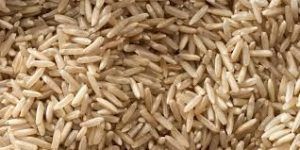 Agrotek Brown Rice from 나이지리아 supplied by Agrotek Value Chains Agent Limited - Brown 쌀
