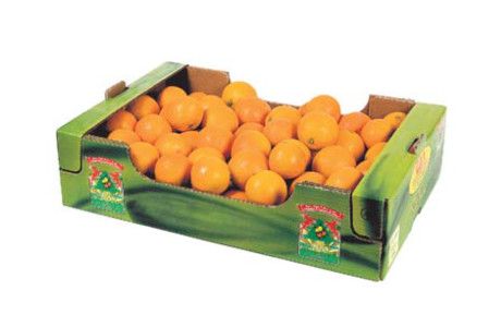 Fresh Whole Orange from Italy supplied by CAI ARL - Orange Fresh Orange