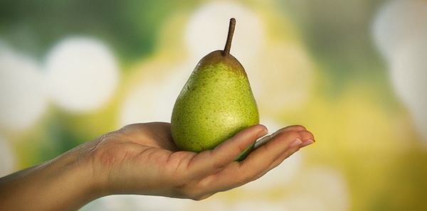Rocha Pear from Portugal supplied by Ecofrutas, Lda - Crates & Bins Fresh Pear