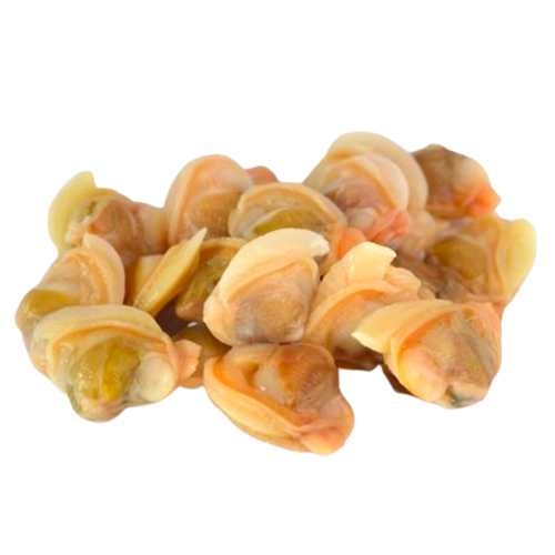 Clam Meat from Chile supplied by RALUN EXPORT S.A. - Meat Only (=Shelled=Shucked) Frozen Clam