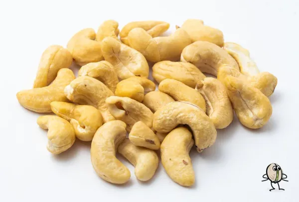 Cashew Nut from 미국 supplied by House Of Pistachios - Cashew Nut 캐슈너트 알맹이